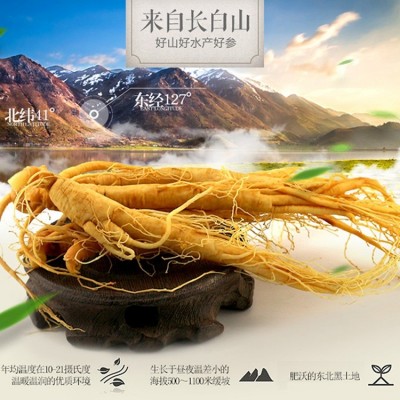 批发新鲜人参 长白山特产人参泡酒煲汤人参 东北特产人参一件代发图3