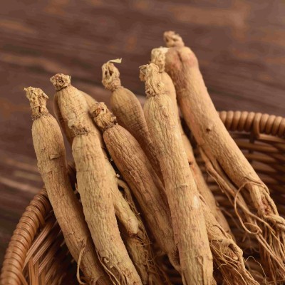 吉林长白山干人参泡酒专用500g人参打粉中药材五年白全须 生晒参图2