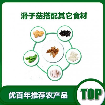 北方滑子蘑北方滑子蘑厂家批发干货滑子蘑批发货源批发图2