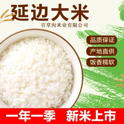 东北大米10kg袋装新米厂家批发延边大米食堂员工福利大米批发图4