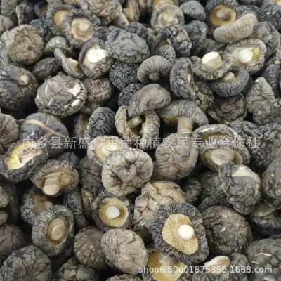 新货香菇干货特产级光面菇 河南特产香味浓郁肉厚无根图3