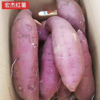 商薯19雄县打粉地瓜淀粉细腻油滑口味香甜白心板栗薯产地直发批发图3