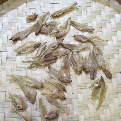 兰花茶 贵妃兰雪 兰花香 浓香耐泡 高香型 产地货源大量批发图4