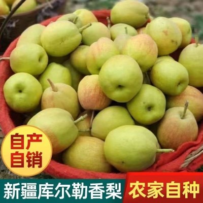新疆库尔勒香梨一件代发梨子新鲜水果香梨产地现摘代发批发包邮图3