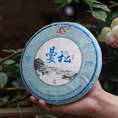 云南省茶叶研究所出品生茶普洱茶七子饼茶云茶曼松新品357g