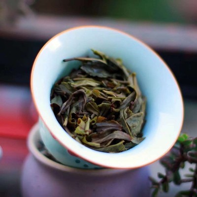 云南省茶叶研究所出品生茶普洱茶七子饼茶云茶曼松新品357g图2