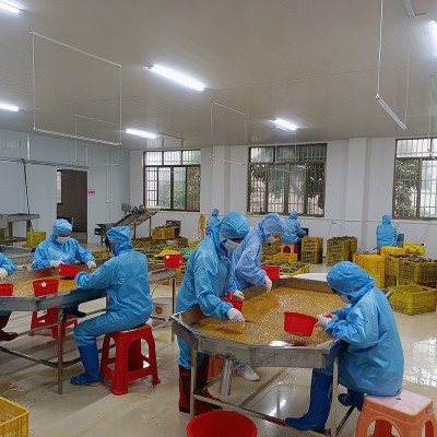 源头工厂广西百香果原浆新鲜现挖果酱果肉果汁厂奶茶店专用批发图2