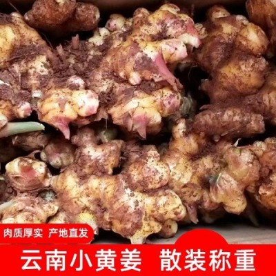 云南农产品小黄姜 生姜月子姜仔姜单柄50g-150g新姜图2
