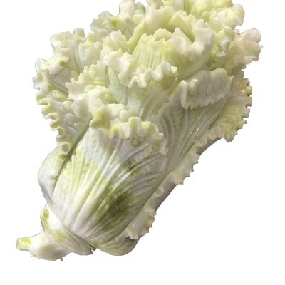 玉石雕刻摆件玉白菜家居开业礼品蓝田玉白菜玉器创意白菜玉工艺品图5