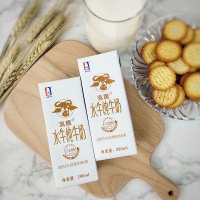 厂家直供 批发南国乳业乳鹰水牛纯牛奶电商装 200ml*12盒图3