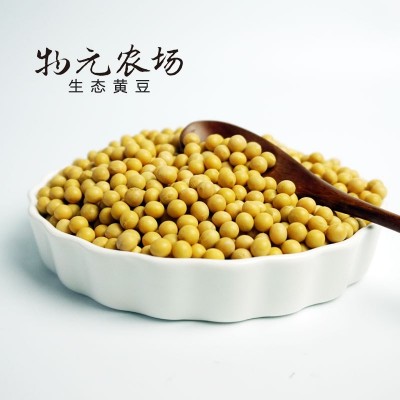 有机黄豆340g真空袋装当季新豆打豆浆专用东北笨大豆图3