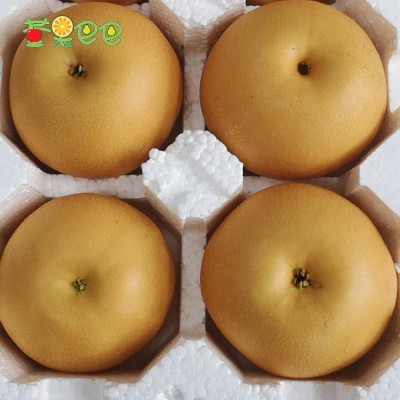 莱阳五龙河水秋月梨新鲜对肺好多汁皮薄很甜润潴河5斤装莱阳大梨图3