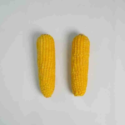 新鲜速冻即食东北厂家批发速冻黄玉米批发速冻黄玉米图5