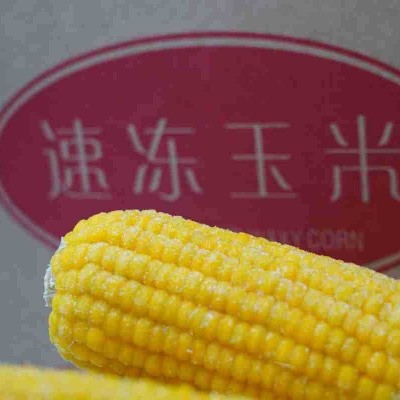 新鲜速冻即食东北厂家批发速冻黄玉米批发速冻黄玉米