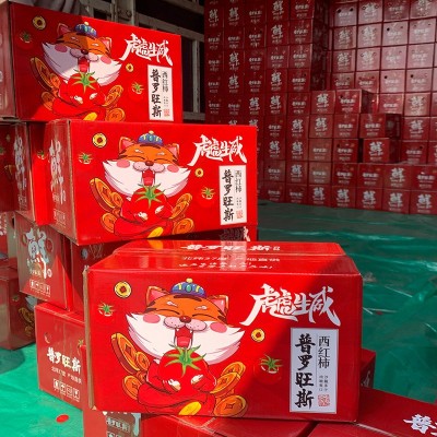 批发海阳普罗旺斯西红柿新鲜现货沙瓤西红柿放心蔬菜番茄图2