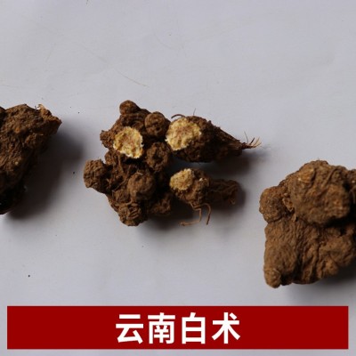 云南产地直接供应白术 白术 源头企业批发 一站式采购图3