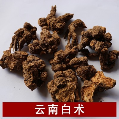 云南产地直接供应白术 白术 源头企业批发 一站式采购图2