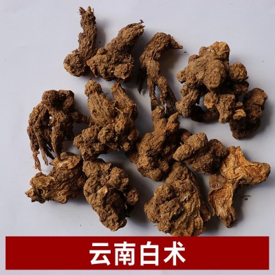 云南产地直接供应白术 白术 源头企业批发 一站式采购