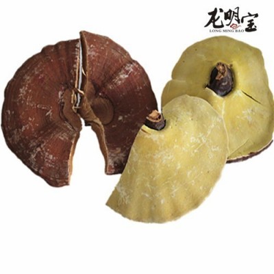人工栽培 段木赤灵芝 韩芝 干燥 开裂 破损灵芝 优惠处理图4