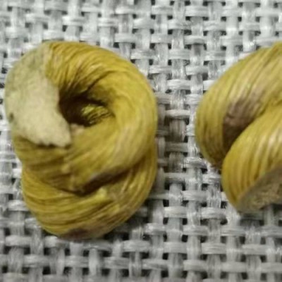 霍山正宗铁皮石斛 石斛花 石斛粉 5年生霍山太平畈乡铁皮石斛批发图5
