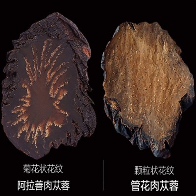 阿拉善肉苁蓉 内蒙古油肉苁蓉切片 中药材精选新货泡酒料肉苁蓉图4