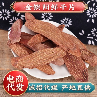 阿拉善锁阳干片配肉苁蓉泡酒泡茶滋补 阿拉善大漠锁阳中药材批发