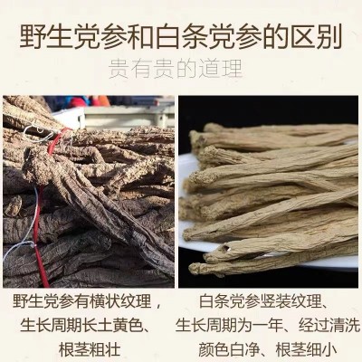 甘肃野生党参新货无硫天然纹党参人工挑选无残硫原产地厂家批发图3