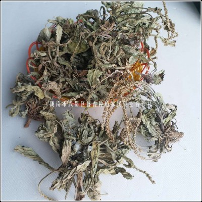 车前草泡水炒茶野生的人工挑选产地一手货源无硫干净中药材批发图4