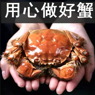 大闸蟹鲜活螃蟹礼盒礼券蟹卡提货卡阳澄湖镇8只公蟹4.0样卡未激活图5