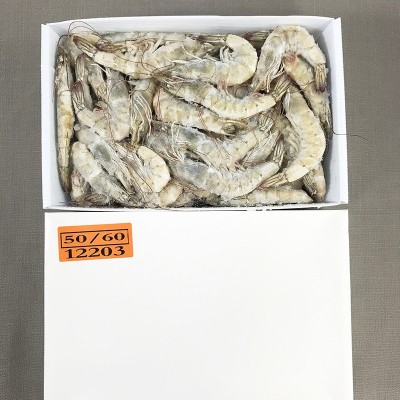 厄瓜多尔白虾盐冻虾青岛大虾南美对虾冰冻海捕鲜活速冻基围虾青虾图4