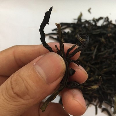 [高性比]潮州凤凰鸭屎香茶叶大乌叶白叶单丛茶蜜兰香 黄枝香批发图3
