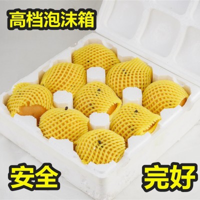 烟台黄元帅苹果应季水果新鲜水果香甜宝宝水果副食挖泥吃粉面苹果图2