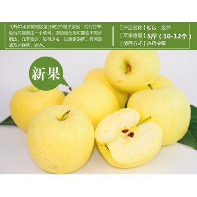 烟台黄元帅苹果应季水果新鲜水果香甜宝宝水果副食挖泥吃粉面苹果图5