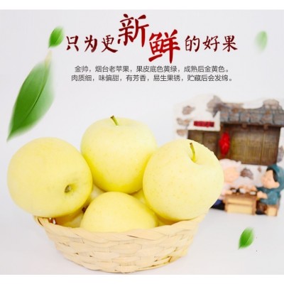 烟台黄元帅苹果应季水果新鲜水果香甜宝宝水果副食挖泥吃粉面苹果图3