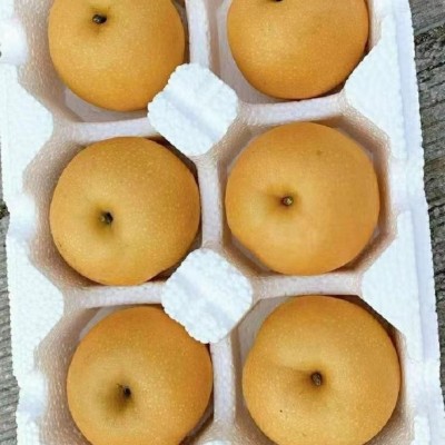正宗山东莱阳秋月梨皮薄超甜礼盒装新鲜羊脂秋月脆甜多汁支持代发图4