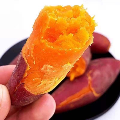 产地直供【香甜软糯】现挖红薯广西巴马糖心地瓜板栗番薯新鲜沙地图4