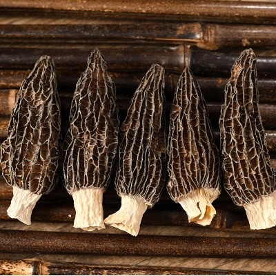 云南头茬羊肚菌干货 煲汤食材羊肚菌剪脚批发代发图3