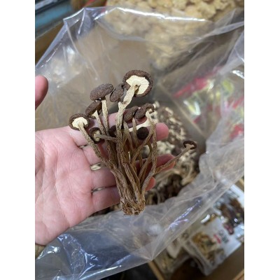 新货茶树菇干货不开伞散装批发500g新菇厂家直供产地直销图5