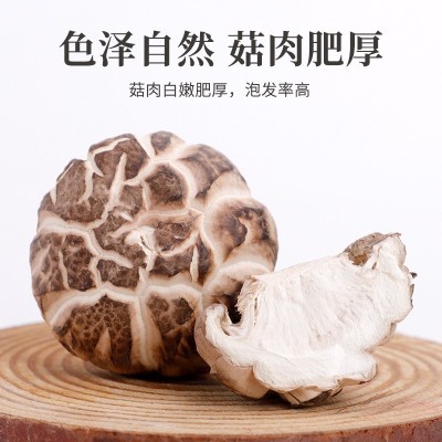 定制天白花菇蘑菇菌菇干货干蘑菇菌菇煲汤食材易泡发基地菌子直发图2