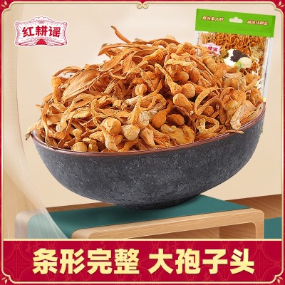 虫草花干货250g孢子头无硫北虫草煲汤材料新鲜蛹金虫草批发图2