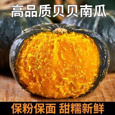【新鲜贝贝小南瓜】板栗味婴儿辅食老南瓜粉糯香甜代发一件包邮图2
