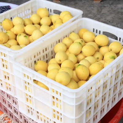 一件批发5斤包邮四川安岳柠檬水果新鲜黄柠檬批发优质水果鲜水果图3