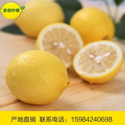 一件批发5斤包邮四川安岳柠檬水果新鲜黄柠檬批发优质水果鲜水果图2