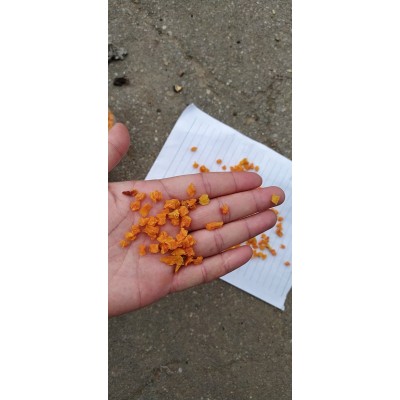 工厂大量生产脱水蔬菜红薯粒紫薯粒胡萝卜粒脱水山芋丁红薯丁图2
