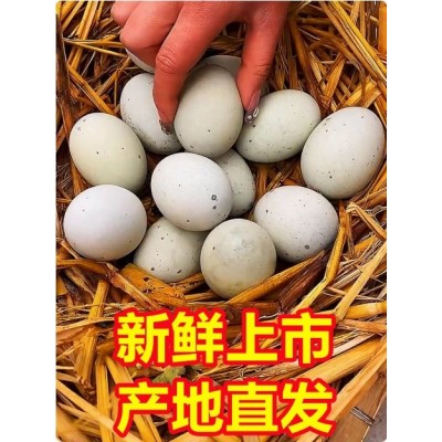 广西北海特产海鸭蛋皮蛋30枚盐皮蛋无松花蛋铅松花皮蛋整箱批发图2